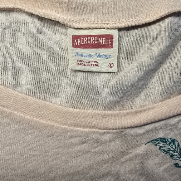 Y2K Abercrombie & Fitch Authentic Vintage Tee Large - Picture 5 of 7